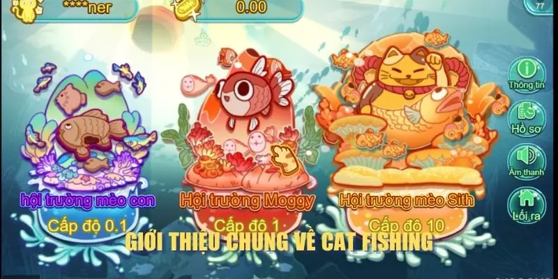 Giới thiệu chung về Cat Fishing